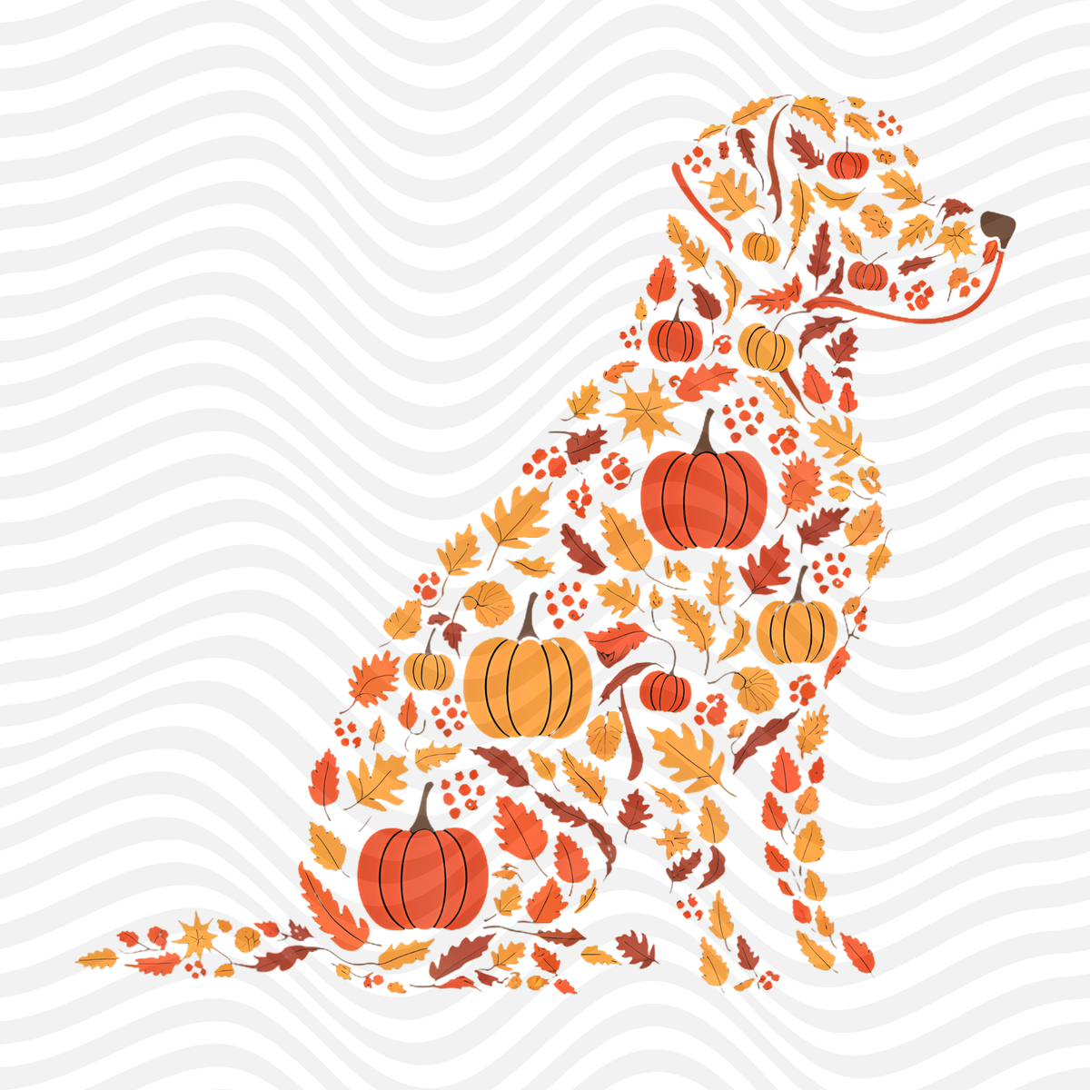 Dog Shape