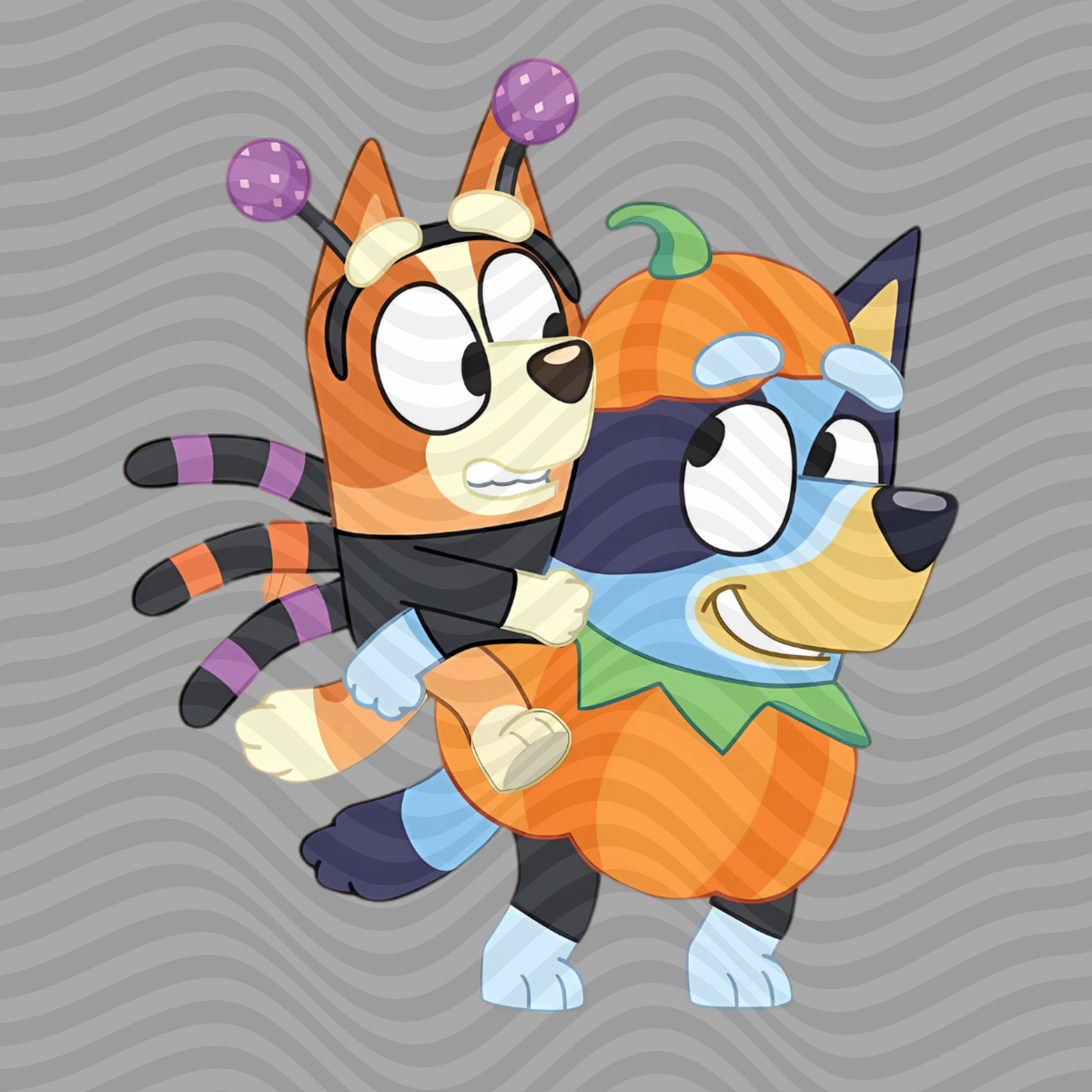 Bluey & Bingo
