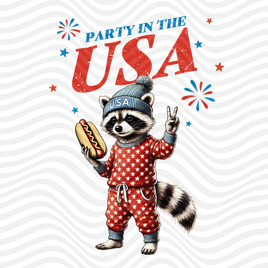 Party In The USA