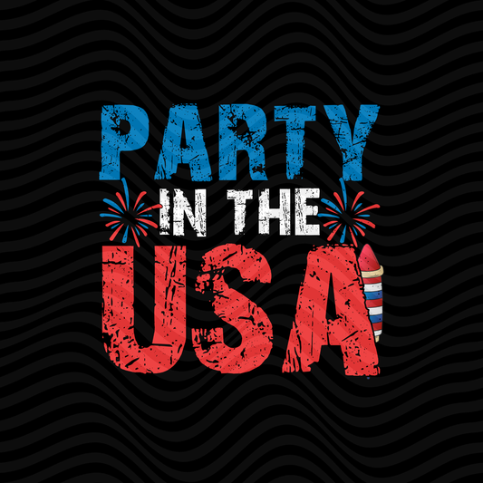Party In The USA