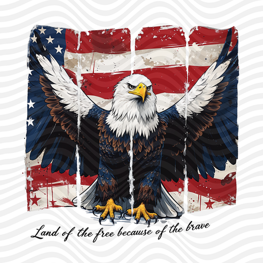 Land Of The Free Because Of The Brave