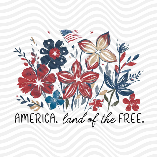 America. Land Of The Free