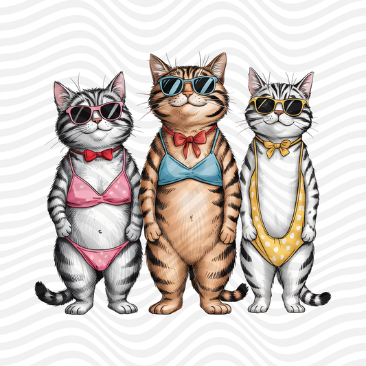 Summer Cats